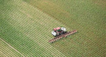 Азот знижує вміст органічного вуглецю в ґрунті при вирощуванні кукурудзи Рис.1