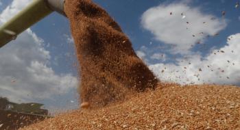 Китай накопичив більше половини всіх світових запасів зерна Рис.1