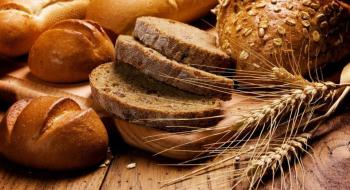 Україна експортувала 90 % продовольчого зерна для випікання хліба – експерт Рис.1