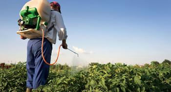 В Україні ґрунти обробляють забороненими в ЄС пестицидами Рис.1