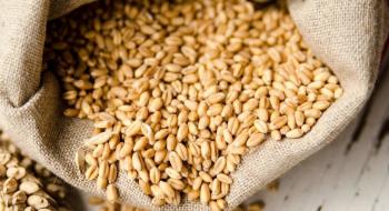 В Україні припинена дія стандартів для зерна та зернопродуктів Рис.1