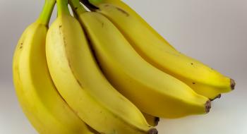 Вчені розробили плівкове покриття з нановолокна для бананів Рис.1
