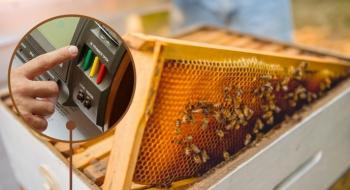 Законопроєкт про бджільництво відправили на доопрацювання Рис.1