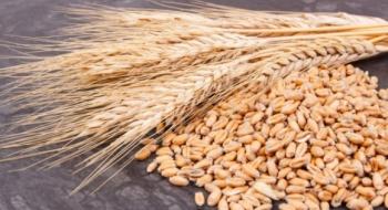 Україна експортувала 42,5 млн тонн зернових та зернобобових Рис.1