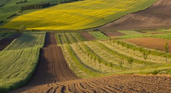 В Україні зареєстровано 89 832 земельні угоди Рис.1