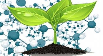Вчені виявили "ліки" , які виробляють рослини після зараження небезпечними захворюваннями Рис.1