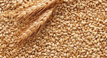 Ціни на зерно б’ють багаторічні рекорди Рис.1