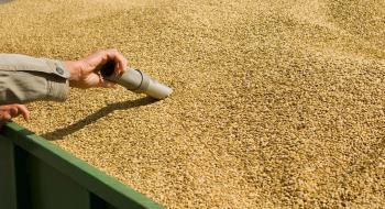 Канада інвестує в технологію вимірювання якості зерна для фермерів Рис.1