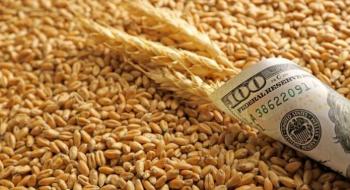 Продажі пшениці в США впали до 20-річного мінімуму Рис.1