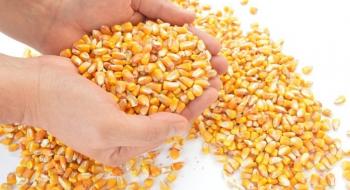 Близько сотні аграріїв з Львівщини отримали безкоштовне насіння кукурудзи Рис.1