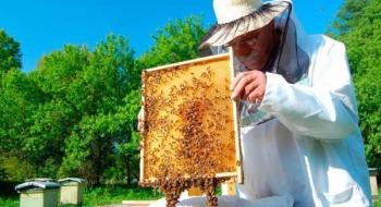 Мінагрополітики розробило інформаційні пам’ятки для аграріїв та пасічників щодо захисту бджіл Рис.1