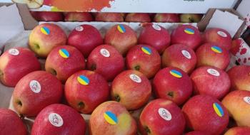 Сади Дніпра відновили експорт яблук Рис.1