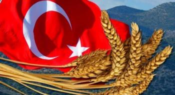 Туреччина нарощує імпорт пшениці, проте скорочує поставки з росії Рис.1