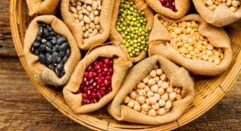 В умовах війни обсяги імпортного насіння можуть зменшитися за рахунок продажу вітчизняних сортів Рис.1