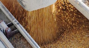 Китай виступив за створення «зелених коридорів» для українського зерна Рис.1