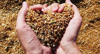 На експорт пішло 46 млн т українського зерна Рис.1
