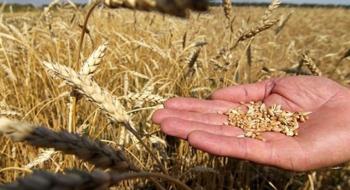 Окупанти крадуть у фермерів зерно на окупованих територіях,- Микола Сольський Рис.1