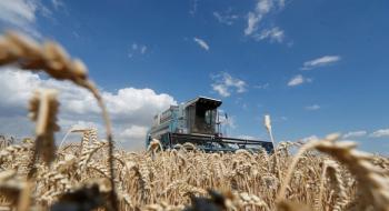 Україна веде перемовини про створення Організації країн-експортерів зерна Рис.1