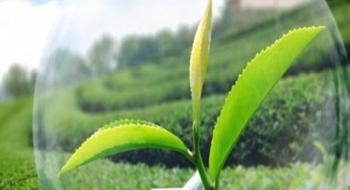 В травні рівень забезпеченості аграріїв засобами захисту рослин зріс до 75% Рис.1