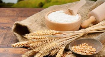 В Україні продовжують знижуватись ціни на пшеничне борошно Рис.1