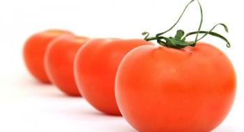 В Україні знижуються ціни на томати Рис.1
