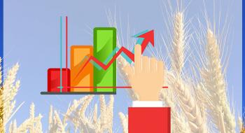 Війна в Україні спричинить збільшення світових запасів зерна Рис.1