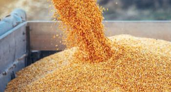 Виробництво пшениці в Україні зменшиться на 35%, кукурудзи — на 50%,- USDA Рис.1