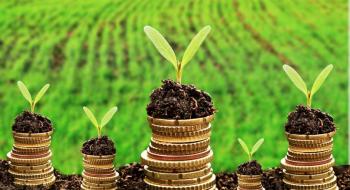 Аграрії залучають кредити на фінансування трейдингової діяльності Рис.1
