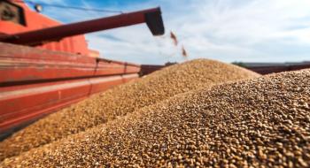 Експерт озвучив шляхи експорту зерна нового врожаю Рис.1
