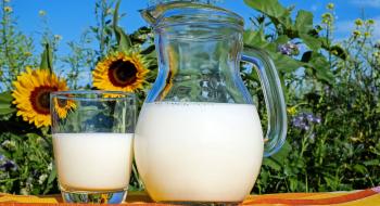 Експорт української молочної продукції набирає обертів Рис.1