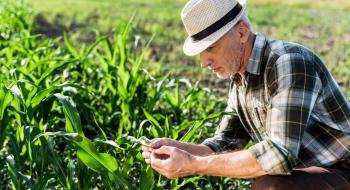 Фермери можуть отримати компенсацію за працевлаштування ВПО Рис.1