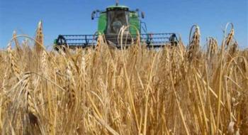 Франція розпочала збирання пшениці Рис.1