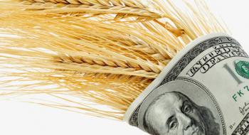 На світових біржах різко виросли ціни на пшеницю Рис.1