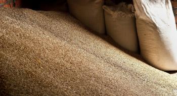 Світова торгівля зерном впаде до трирічного мінімуму,-ФАО Рис.1