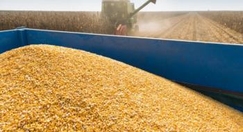 Україна з початку червня експортувала майже 150 тис. тонн зерна Рис.1