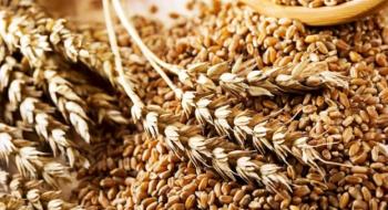 Єврокомісія запустила платформу для експорту українського зерна Рис.1