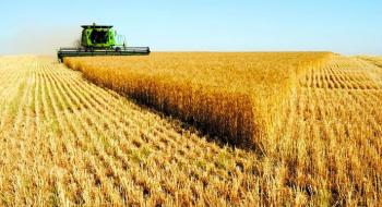 Аграрний комітет озвучив 6 кроків для оптимізації аграрного експорту Рис.1
