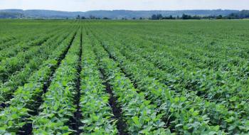 Агрофірма Астарти підтвердила статус виробника органіки Рис.1