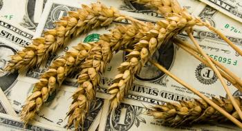 Активне збирання врожаю посилює тиск цін на пшеницю Рис.1
