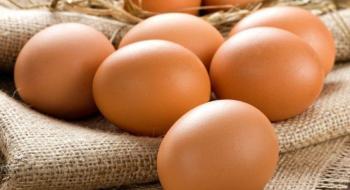 Експорт яєць з України скоротився удвічі Рис.1