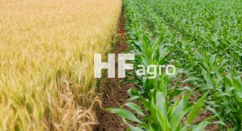HF Agro доставляє українським аграріям вивантажувачі та пакувальники зерна Рис.1