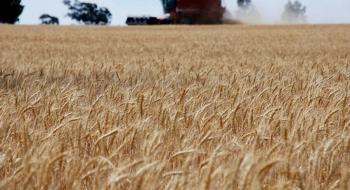 Плани польових випробувань ГМО-пшениці в Австралії Рис.1