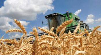 Пшениця у США подешевшала до довоєнного рівня Рис.1