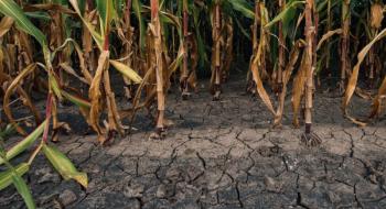 Сильна посуха може звести нанівець зростання виробництва продуктів харчування в ЄС Рис.1