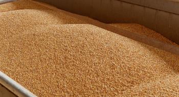 У першу чергу зерновим коридором вивозитимуть зерно фермерів Рис.1