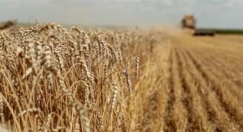 Врожай пшениці в цьому році на 40% менший минулорічного — Микола Сольський Рис.1