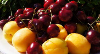 Виробники фруктів у ЄС б'ють на сполох через зростання витрат Рис.1