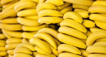 Напад росії на Україну наніс негативний вплив на банановий сектор Еквадору Рис.1