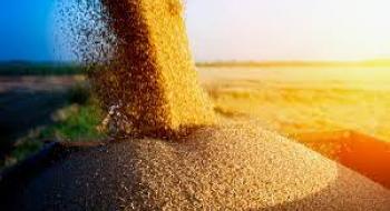 Україна завершує збирання ранніх зернових та прискорює темпи експорту нового врожаю Рис.1