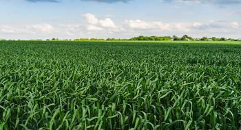 Унормовано використання в Україні пестицидів та агрохімікатів Рис.1